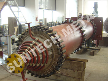 China 304L en Evaporator van de Koolstofstaal de Beklede Afgeveegde Dunne Film leverancier